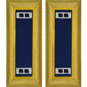 Army Shoulder Strap: Warrant Officer 2: Chemical