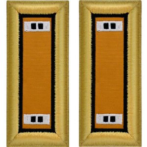 Army Shoulder Strap: Warrant Officer 2 Electronic Warfare