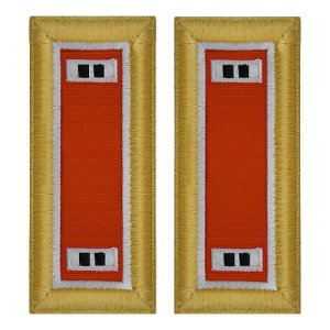 Army Shoulder Strap: Warrant Officer 2: Signal, female