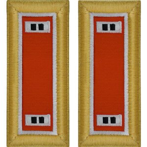 Army Shoulder Strap: Warrant Officer 2: Signal