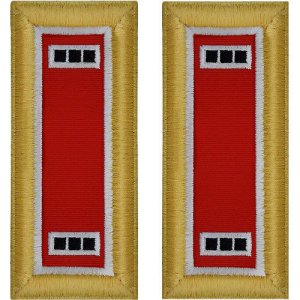 Army Shoulder Strap: Warrant Officer 3: Engineer