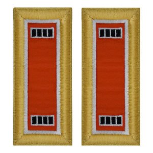 Army Shoulder Strap: Warrant Officer 4: Signal, female