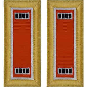Army Shoulder Strap: Warrant Officer 4: Signal