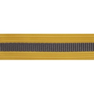 Army Sleeve Braid: Cyber Warfare