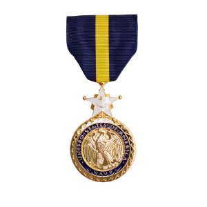 Decorations Full Size Medal: and Distinguished Service, 24k Gold Plated