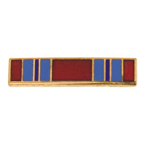 Decorations Lapel Pin: Combat Readiness