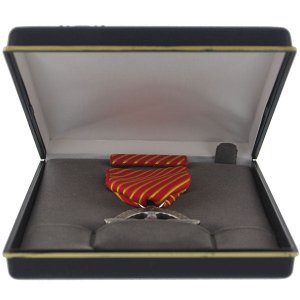 Decorations Medal Presentation Set: Combat Action