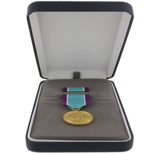 Decorations Medal Presentation Set: Distinguished Service