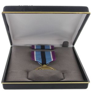Decorations Medal Presentation Set: Humanitarian Service