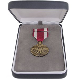 Decorations Medal Presentation Set: Meritorious Service