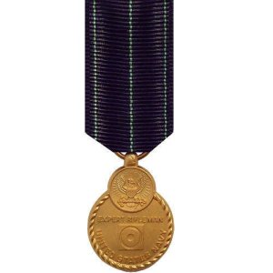 Decorations Miniature Medal: Expert Rifle