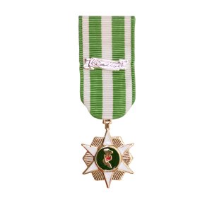 Decorations Miniature Medal: Vietnam Campaign