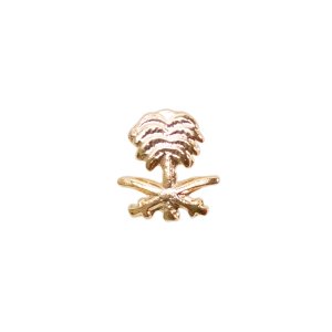 Decorations Ribbon Attachments: Kuwait Liberation, palm tree