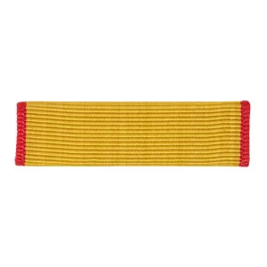 Decorations Ribbon Unit: US Reserve
