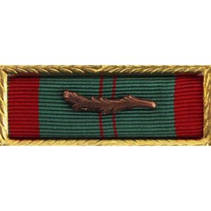 Decorations Ribbon Unit: Vietnam Civil Action First Class with palm and small frame. Palm Attachment: included but not mounted.