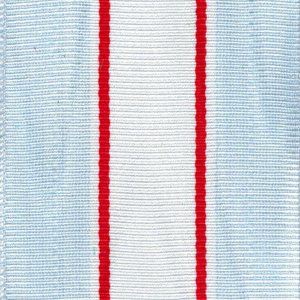 Decorations Ribbon Yardage: Antarctic Expedition