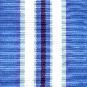 Decorations Ribbon Yardage: Arctic Service