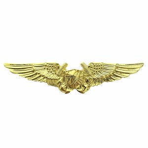 Navy Badge: Astronaut, regulation size