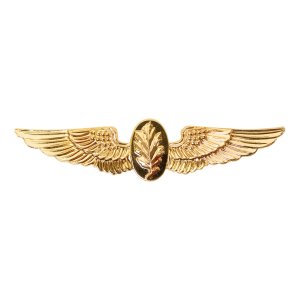 Navy Badge: Aviation Physiologist, regulation size
