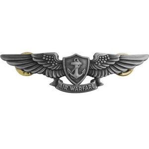 Navy Badge: Aviation Warfare Specialist, regulation size, oxidized