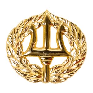 Navy Badge: Command Ashore, regulation size