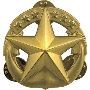 Navy Badge: Command at Sea, regulation size