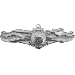 Navy Badge: Enlisted Information Dominance Warfare, miniature, mirror finish