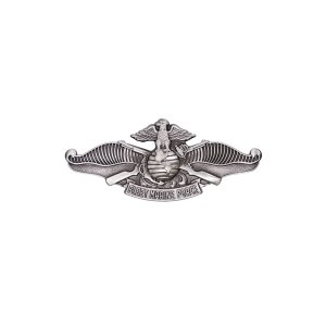 Navy Badge: Fleet Marine Force, miniature, oxidized