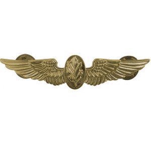 Navy Badge: Flight Nurse, regulation size