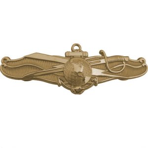 Navy Badge: Information Dominance Warfare Officer
