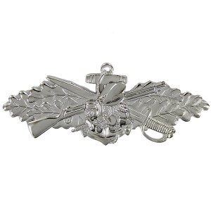 Navy Badge: Seabee Combat Warfare Specialist Enlisted, Mirror Finish