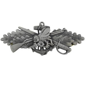 Navy Badge: Seabee Combat Warfare Specialist Enlisted, Oxidized