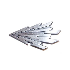 Navy Ball Cap Device: Mirror Finish Information Technician