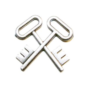 Navy Ball Cap Device: Mirror Finish Logistics