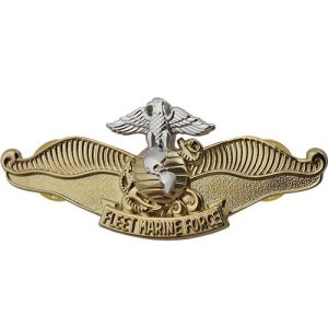 Navy Breast Badge: Fleet Marine Force Chaplain, miniature