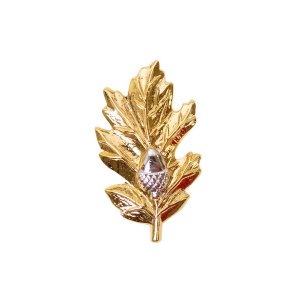 Navy Collar Device: Medical Corps, gold