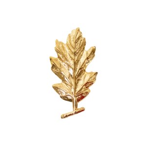 Navy Collar Device: Medical Service, gold