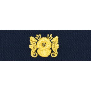 Navy Collar Device: WO Diving Officer, coverall