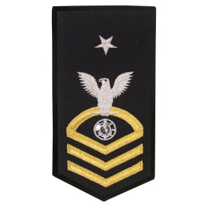 Navy E8 Female Rating Badge: RP Religious Programs Specialist, seaworthy gold on blue