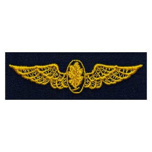 Navy Embroidered Badge: Aviation Physiologist, coverall