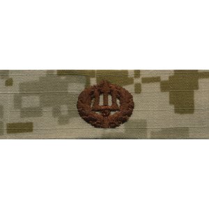 Navy Embroidered Badge: Command Ashore, Desert Digital