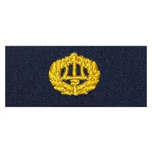 Navy Embroidered Badge: Command Ashore, embroidered on coverall