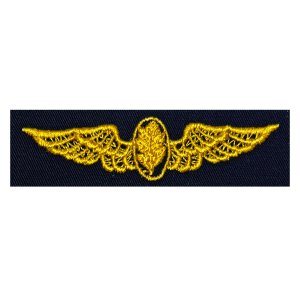 Navy Embroidered Badge: Flight Nurse, embroidered on coverall