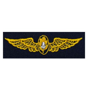 Navy Embroidered Badge: Flight Surgeon, embroidered on coverall