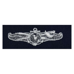 Navy Embroidered Badge: Information Dominance Warfare Enlisted, embroidered on coverall