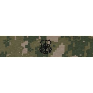 Navy Embroidered Badge: Nuclear Weapons Security, Woodland Digital