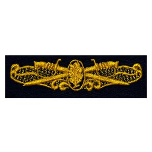 Navy Embroidered Badge: Surface Warfare Medical Service, coverall
