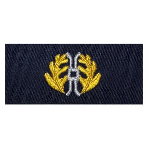 Navy Embroidered Collar Device: Judge Advocate General, coverall