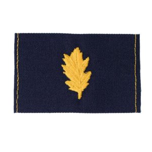 Navy Embroidered Collar Device: Nurse Corp, embroidered on coverall
