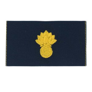 Navy Embroidered Collar Device: Ordnance Technician, coverall